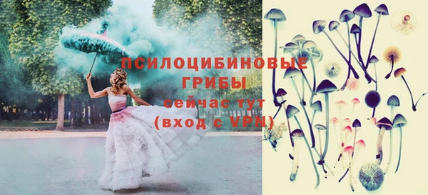 кокс Михайлов